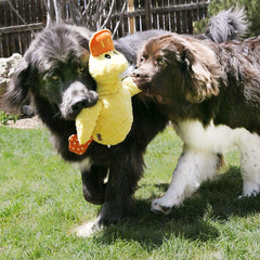KONG Comfort Duck Jumbo crinkle sounds boost engagement during play