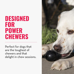 KONG Extreme Goodie Bone Goodie Grippers reveal treat-dispensing fun during playtime.