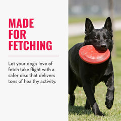 KONG Flyer durable natural rubber emphasizes long-lasting play for small dogs.