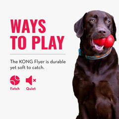KONG Flyer small dogs use, ideal for compact backyard games.