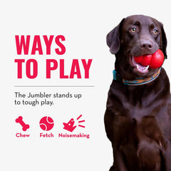 KONG Jumbler Ball interior tennis ball and loud squeaker