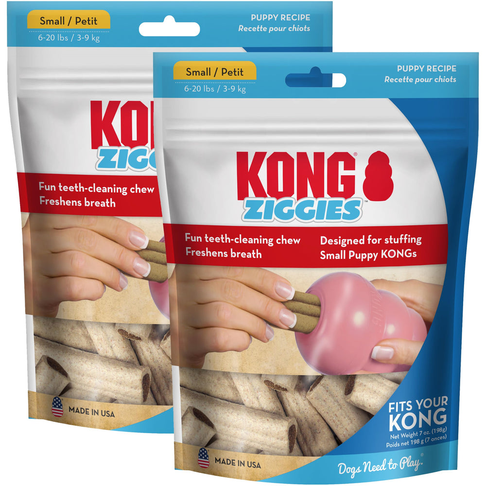 KONG Puppy Ziggies inside a Puppy rubber toy for extended enrichment.