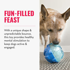 KONG Rewards Ball in motion with bounce action illustrating engaging play for large dogs
