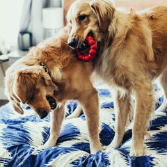 KONG Ring XL close-up texture highlights rugged surface ideal for tough chewers.