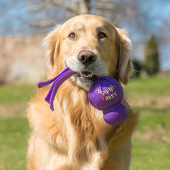 KONG Wubba XL tug toy for indoor-outdoor fetch with durable nylon exterior.