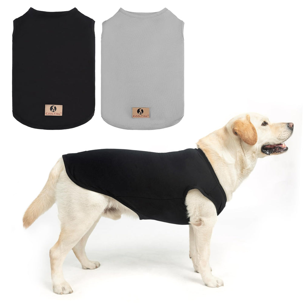 Kooltail boy dog shirts large two-pack on dog for comfortable outdoor wear.