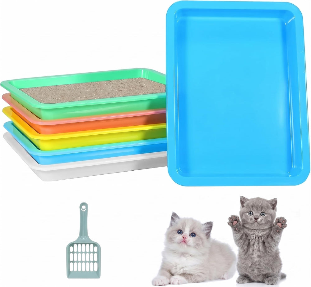 Koparion low-entry kitten litter box design for easy access