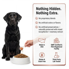 Kopo Dog Multivitamin Powder in a dog bowl with meal.