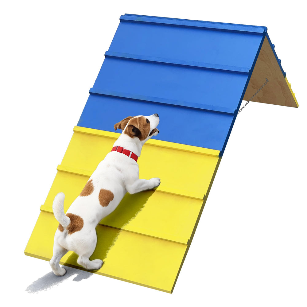 Koretech Dog Agility A Frame 84in supports large dogs during backyard training.