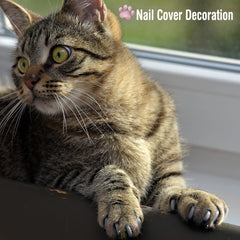 Kritkin nail-file-pp for smooth nails after clipping