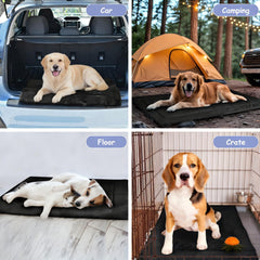Kritter Planet portable roll-up dog bed with handles for easy travel