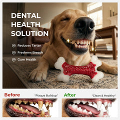 Kseroo beef-flavored bone toy helps large breeds chew safely