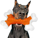 Kseroo indestructible dog toy bone orange 8in supports aggressive chewing and scent-rich engagement.
