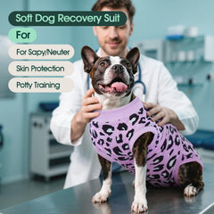 Kuoser dog recovery suit fit chart demonstrates size range XS to 2XL for precise fit