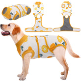 Kuoser Recovery Suit back view shows snug fit