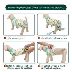 Cone alternative wear reduces licking and supports gentle mobility.