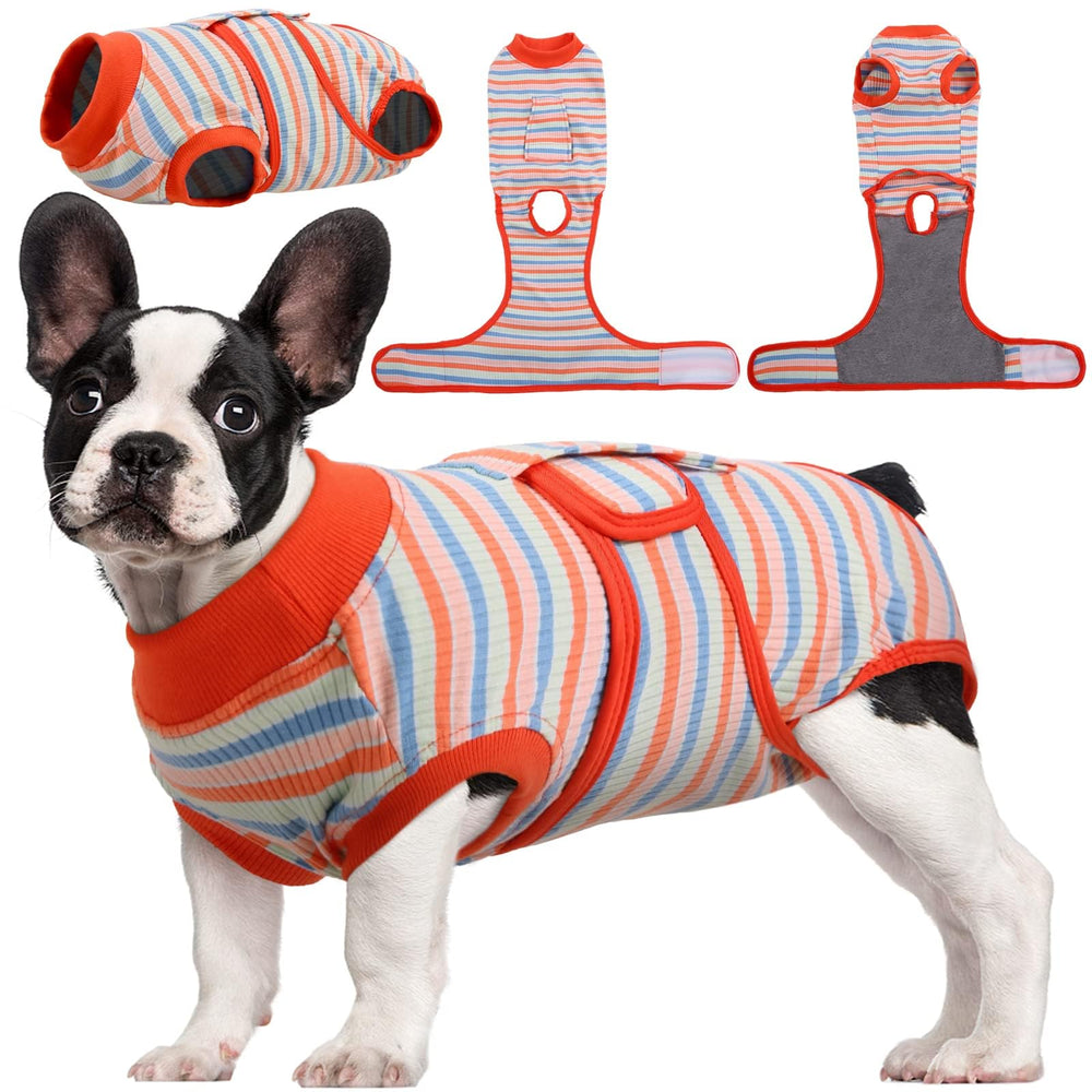 Kuoser Recovery Suit for dogs with abdomen wound protection and comfortable fit.