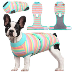 Kuoser recovery suit on a dog, secure back fit for post-surgery comfort