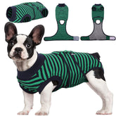 Kuoser recovery suit for dogs, back view, comfortable post-surgery wear
