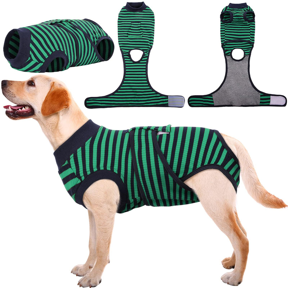 Kuoser Recovery Suit on dog, front view, protecting post-surgery wounds.