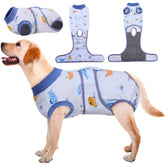 Kuoser Recovery Suit on a dog, post-surgery comfort and gentle coverage.