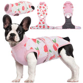 Kuoser Recovery Suit on a dog, post-surgery protection and comfort.