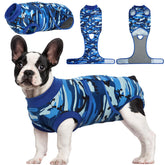 Kuoser Recovery Suit on a dog offers wound protection and comfortable wear.