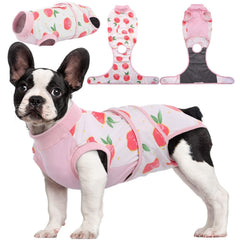 Kuoser Recovery Suit on a dog, post-surgery protection and comfort.