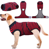 Kuoser Recovery Suit worn on a dog with abdominal wounds, offering protection and comfort.