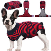 Kuoser recovery suit for dogs showing wound coverage for post-surgery care.