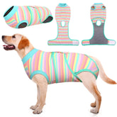 Kuoser Recovery Suit on a dog in front view, covering the torso for comfortable post-surgery wear