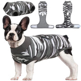 Kuoser recovery suit for dogs in motion supporting post-surgery comfort