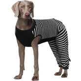 Kuoser recovery suit rear leg sleeve protects wounds while keeping movement comfortable.