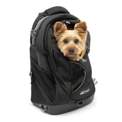 Kurgo G-Train top mesh view shows breathable design for your dog's visibility and airflow on hikes.
