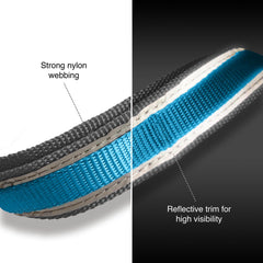 Kurgo Quantum Leash demonstrates a 3ft training leash for focused sessions.