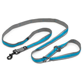 Kurgo Quantum Leash 6-in-1 setup shown for versatile daily use.