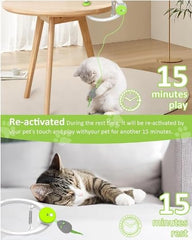 KWV Interactive Cat Toy USB-C rechargeable for long play sessions