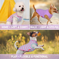 KYEESE reflective safety label ensures night visibility during walks.
