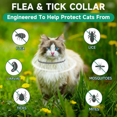 KYGNE adjustable cat flea collar close-up highlighting comfort and fit.