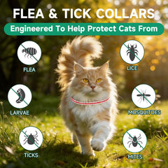 KYGNE cat flea collar on a cat's neck showing adjustable fit.