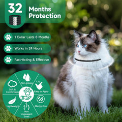 KYGNE cat flea collars in water-resistant material, ready for outdoor play.