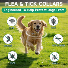KYGNE dog flea and tick prevention collar offering up to 32 months of protection.