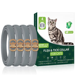 KYGNE four-pack flea collar on a cat's neck for prevention.