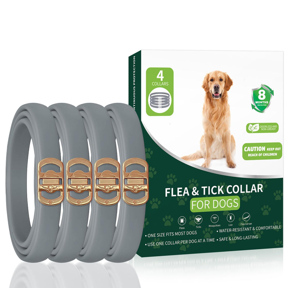 KYGNE four-pack flea collar for dogs provides extended protection for multiple pets.