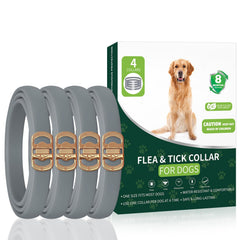 KYGNE four-pack flea collar for dogs provides extended protection for multiple pets.