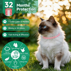 KYGNE water-resistant flea collar during playful outdoor activity.