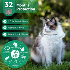 KYGNE waterproof cat flea collar worn during light rain.
