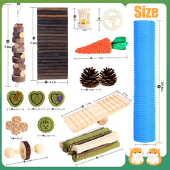 Kyouki Timothy hay treats invite foraging and daytime enrichment.