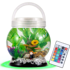 LA KEN DU Betta Tank with translucent shell showing compact portable design for easy setup