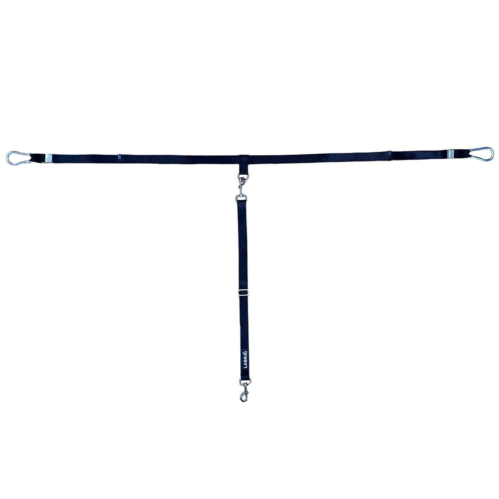 Labra dog heavy-duty leash clip close-up for secure truck bed tether.